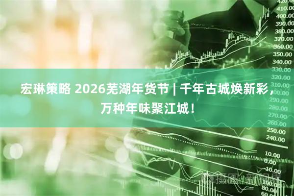 宏琳策略 2026芜湖年货节 | 千年古城焕新彩，万种年味聚江城！